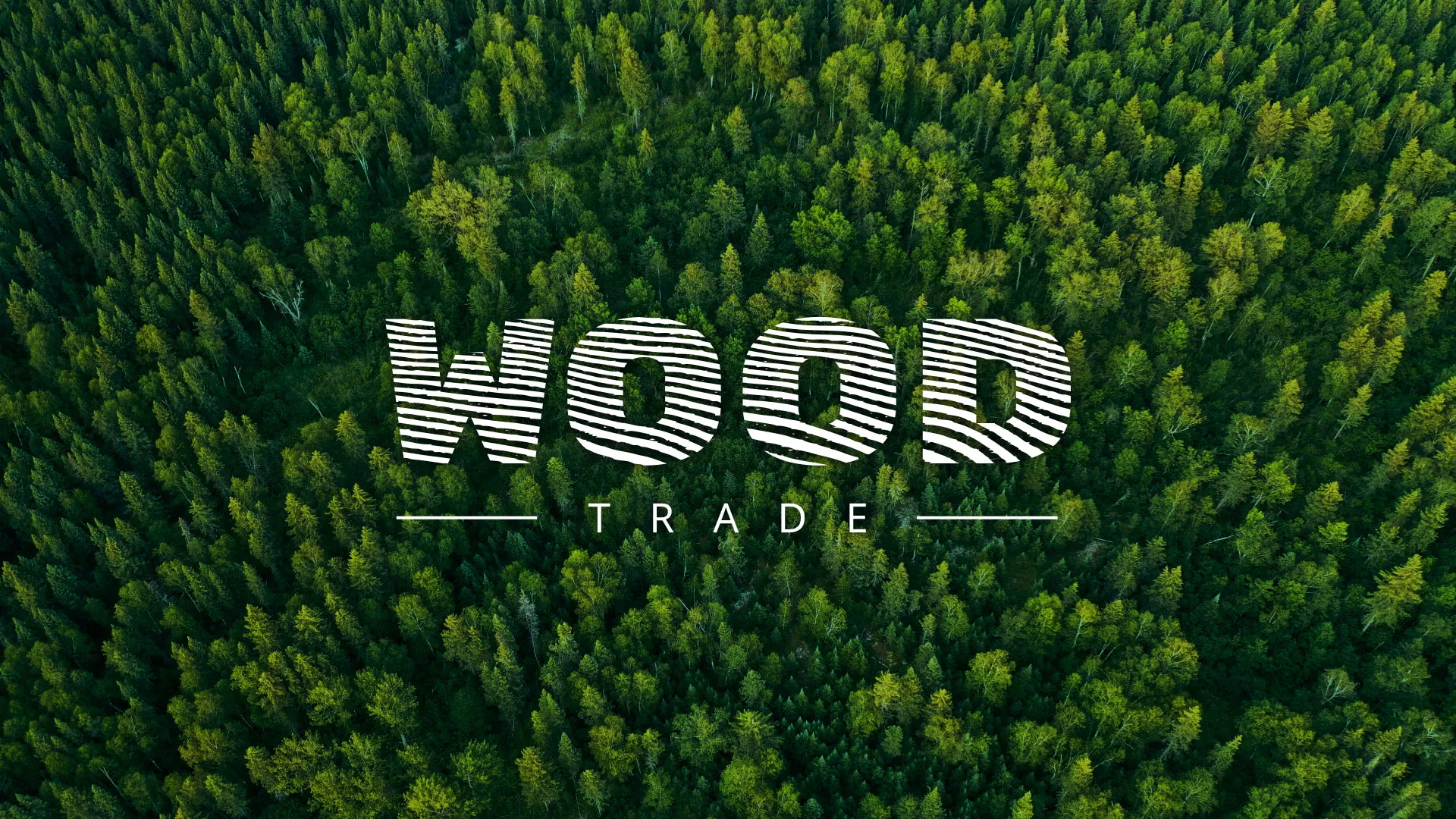 Разработка интернет-магазина компании «Wood Trade» в Лаишево